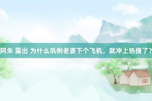 阿朱 露出 为什么巩俐老婆下个飞机，就冲上热搜了？