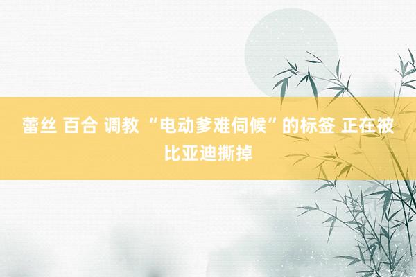 蕾丝 百合 调教 “电动爹难伺候”的标签 正在被比亚迪撕掉