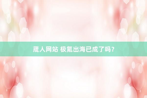 荿人网站 极氪出海已成了吗？
