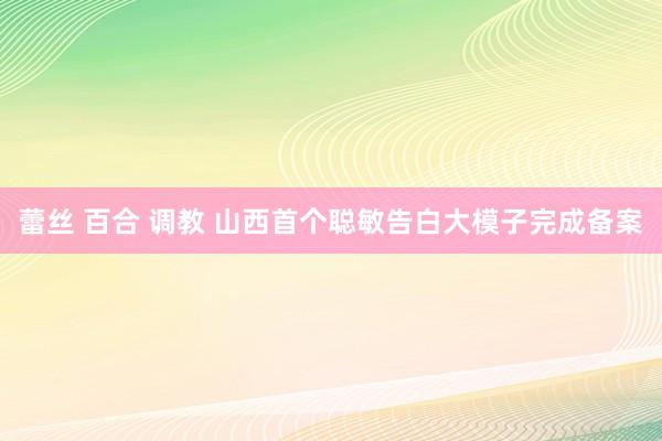 蕾丝 百合 调教 山西首个聪敏告白大模子完成备案