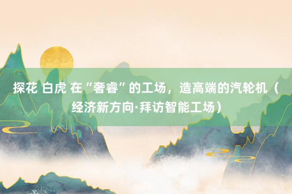 探花 白虎 在“奢睿”的工场，造高端的汽轮机（经济新方向·拜访智能工场）