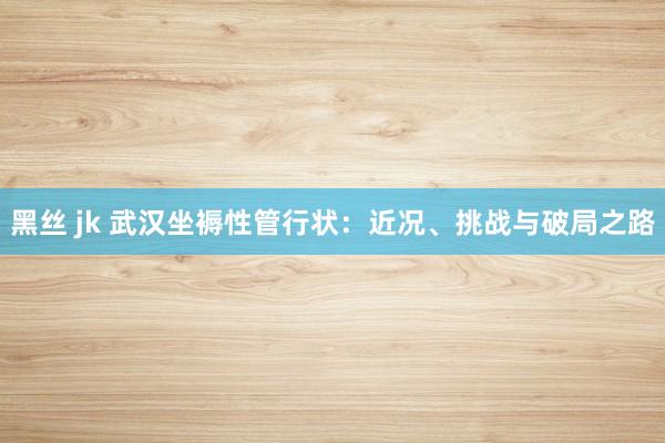黑丝 jk 武汉坐褥性管行状：近况、挑战与破局之路