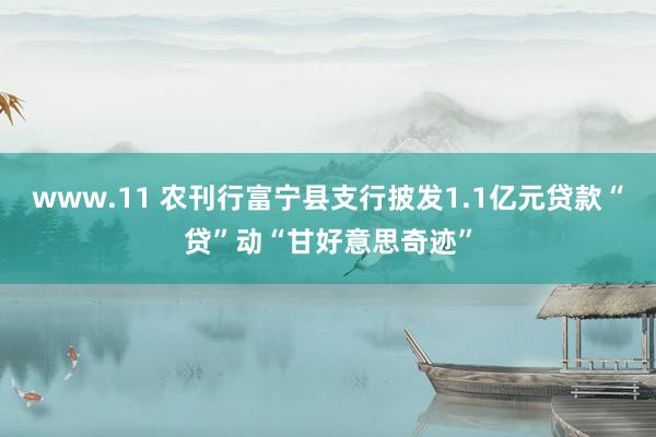www.11 农刊行富宁县支行披发1.1亿元贷款“贷”动“甘好意思奇迹”