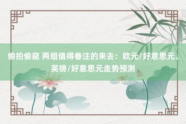 偷拍偷窥 两组值得眷注的来去：欧元/好意思元、英镑/好意思元走势预测