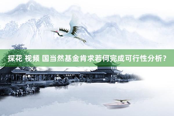 探花 视频 国当然基金肯求若何完成可行性分析？