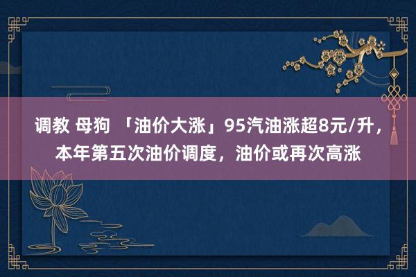 调教 母狗 「油价大涨」95汽油涨超8元/升，本年第五次油价调度，油价或再次高涨