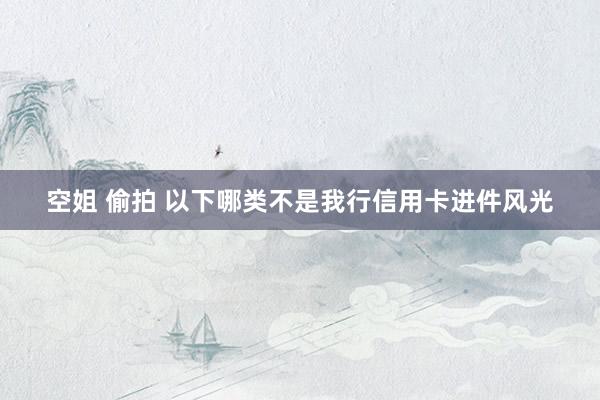 空姐 偷拍 以下哪类不是我行信用卡进件风光