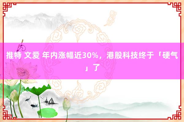 推特 文爱 年内涨幅近30%，港股科技终于「硬气」了