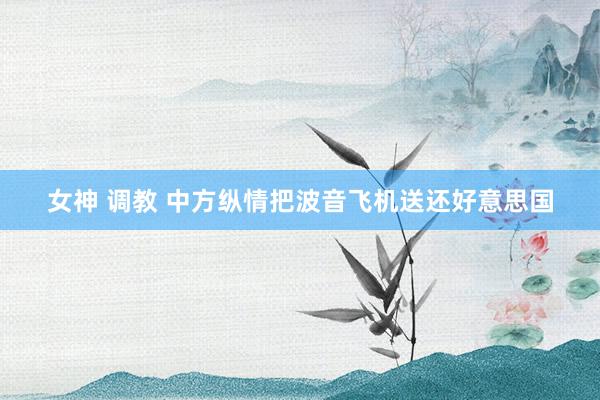 女神 调教 中方纵情把波音飞机送还好意思国