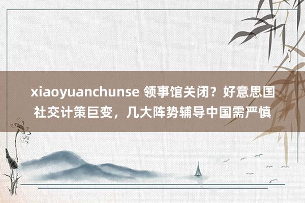 xiaoyuanchunse 领事馆关闭？好意思国社交计策巨变，几大阵势辅导中国需严慎