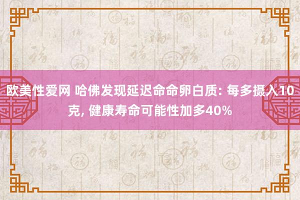 欧美性爱网 哈佛发现延迟命命卵白质: 每多摄入10克, 健康寿命可能性加多40%