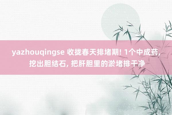 yazhouqingse 收拢春天排堵期! 1个中成药, 挖出胆结石, 把肝胆里的淤堵排干净