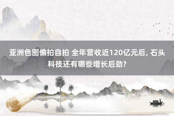 亚洲色图偷拍自拍 全年营收近120亿元后, 石头科技还有哪些增长后劲?
