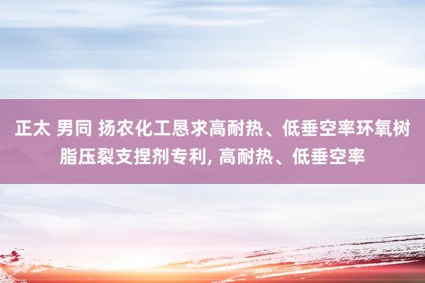 正太 男同 扬农化工恳求高耐热、低垂空率环氧树脂压裂支捏剂专利, 高耐热、低垂空率