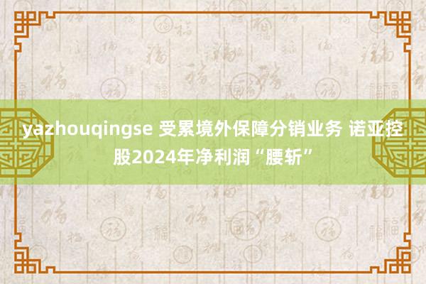 yazhouqingse 受累境外保障分销业务 诺亚控股2024年净利润“腰斩”