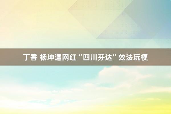 丁香 杨坤遭网红“四川芬达”效法玩梗