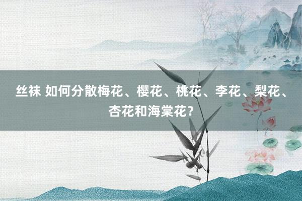 丝袜 如何分散梅花、樱花、桃花、李花、梨花、杏花和海棠花？