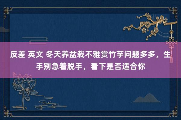 反差 英文 冬天养盆栽不雅赏竹芋问题多多，生手别急着脱手，看下是否适合你
