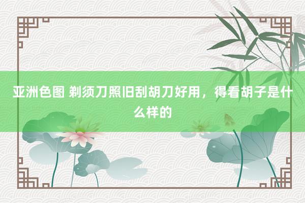 亚洲色图 剃须刀照旧刮胡刀好用，得看胡子是什么样的