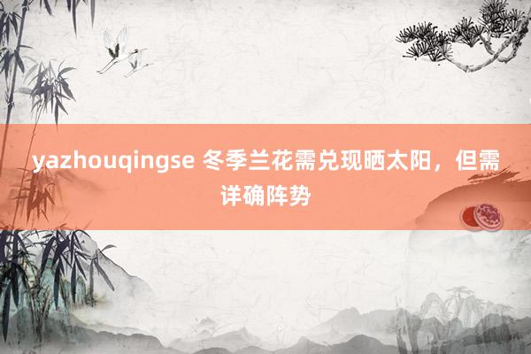 yazhouqingse 冬季兰花需兑现晒太阳，但需详确阵势