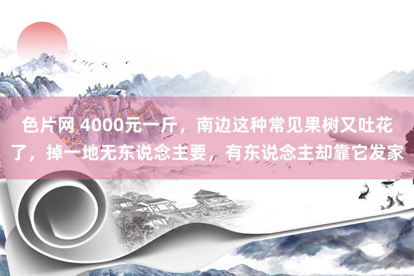 色片网 4000元一斤，南边这种常见果树又吐花了，掉一地无东说念主要，有东说念主却靠它发家