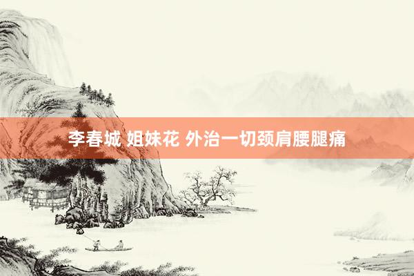 李春城 姐妹花 外治一切颈肩腰腿痛