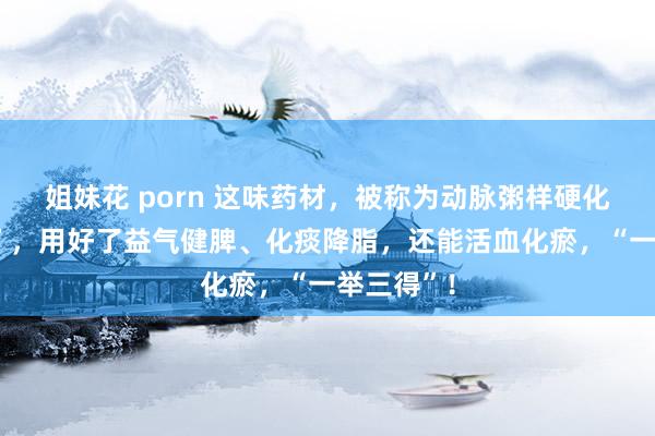 姐妹花 porn 这味药材，被称为动脉粥样硬化的“克星”，用好了益气健脾、化痰降脂，还能活血化瘀，“一举三得”！