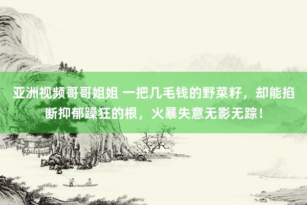 亚洲视频哥哥姐姐 一把几毛钱的野菜籽，却能掐断抑郁躁狂的根，火暴失意无影无踪！