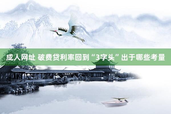 成人网址 破费贷利率回到“3字头”出于哪些考量