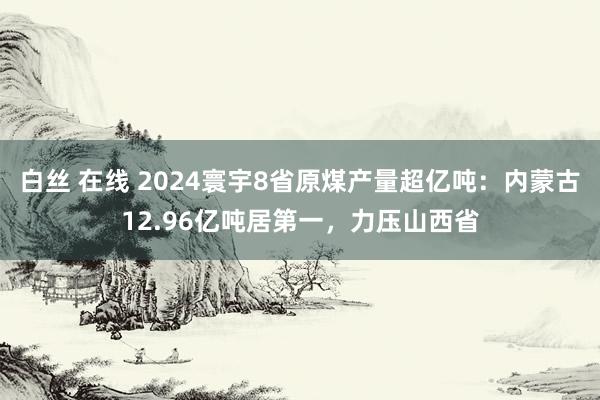 白丝 在线 2024寰宇8省原煤产量超亿吨：内蒙古12.96亿吨居第一，力压山西省