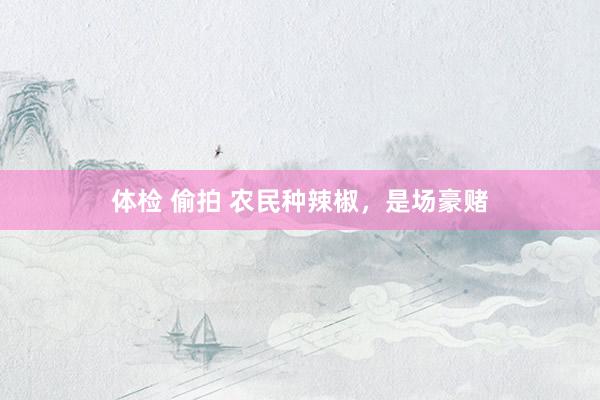 体检 偷拍 农民种辣椒，是场豪赌