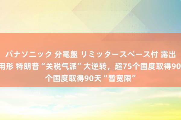 パナソニック 分電盤 リミッタースペース付 露出・半埋込両用形 特朗普“关税气派”大逆转，超75个国度取得90天“暂宽限”