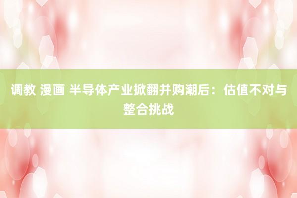 调教 漫画 半导体产业掀翻并购潮后：估值不对与整合挑战