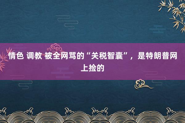 情色 调教 被全网骂的“关税智囊”，是特朗普网上捡的
